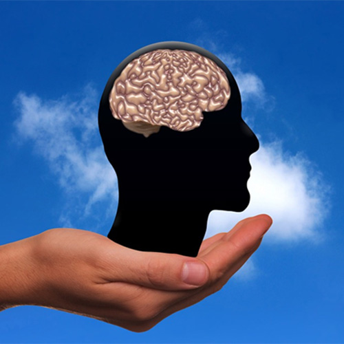 Avoir un cerveau au boulot