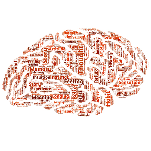 Challengeons nos cerveaux !