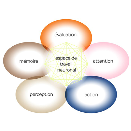 Espace de travail neuronal
